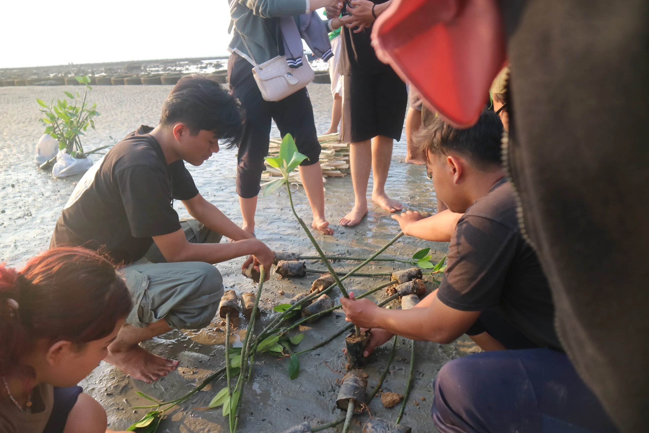 Penanaman Bibit Mangrove Oleh Panitia Pedalaman 2.0 (Foto: dok. panitia)