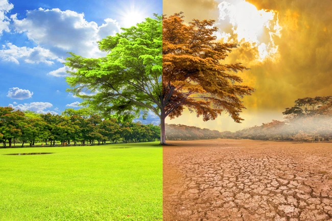 Climate change illustration (Photo: Gatra)