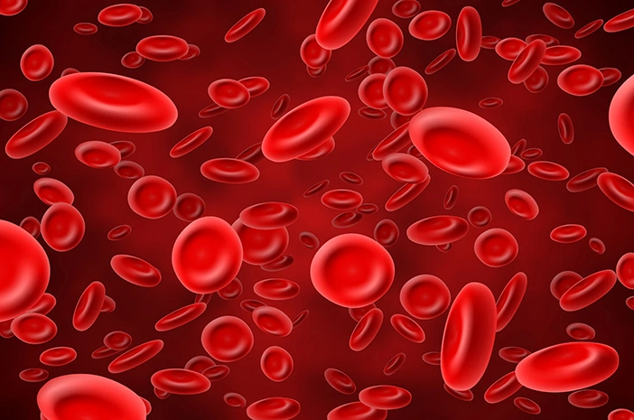 Kadar Hemoglobin dan Jarak Transfusi Pasien Talasemia Beta