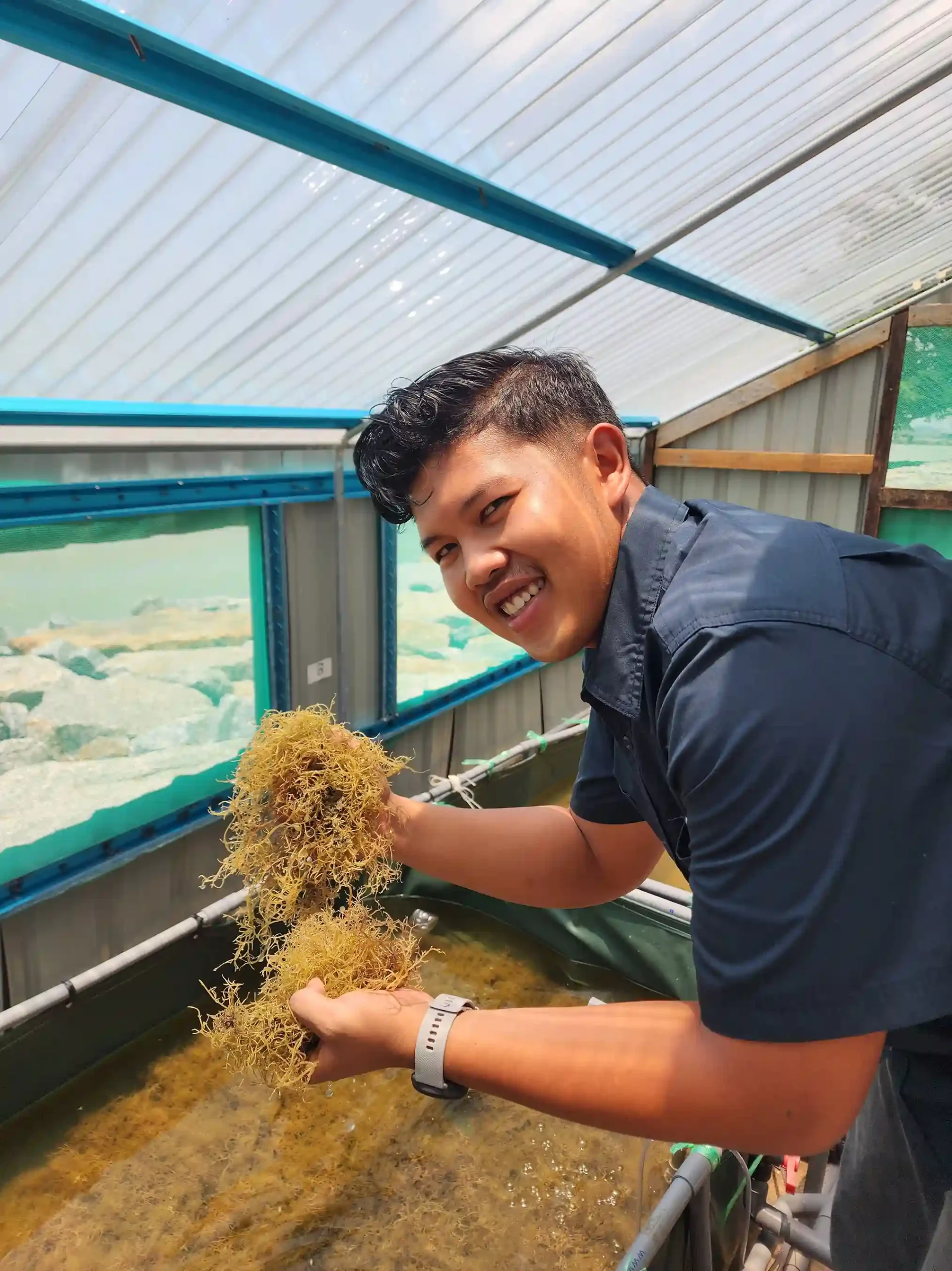 Satriyo Samudra works on processing Gracilaria sp. seaweed as raw material for seaweed-based products (Photo: Source Documentation)