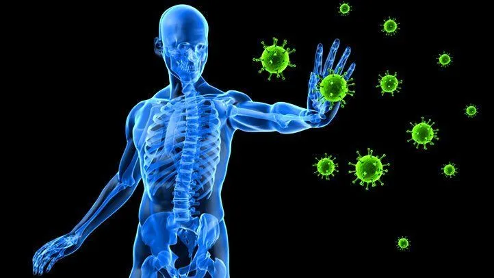 Efek Imunostimulan Fucoidan Terhadap Respon Imun Seluler Dan Humoral Pada Diabetes