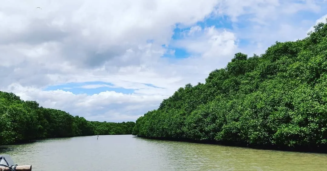 Profil Biosite Teluk Pang Pang, Banyuwangi
