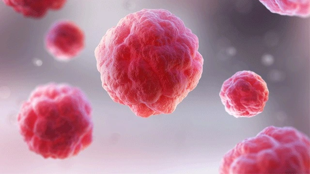 Semua Bagian Adipose-Derived Mesenchymal Stem Cell (AMSC) Dapat Dimanfaatkan