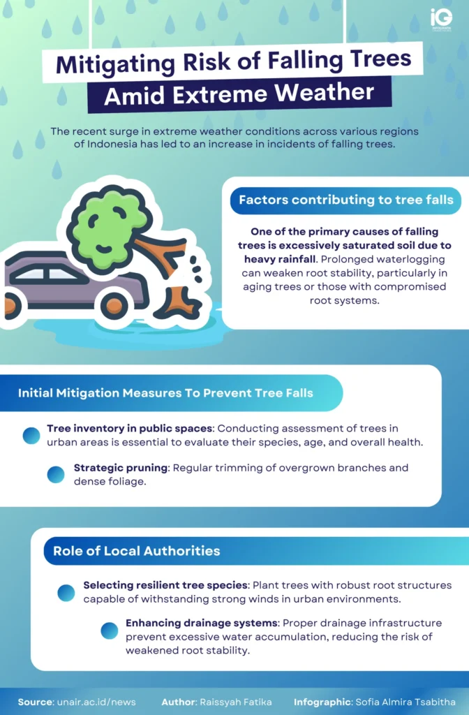 Infographic on mitigating risk of falling trees amid extreme weather