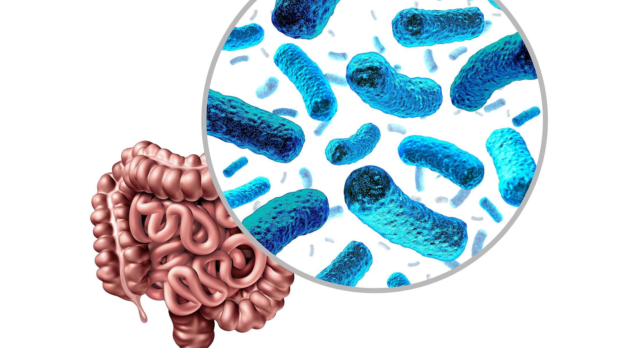 illustration of microbiota in the gut