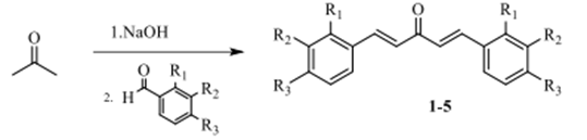 Sintesis turunan dibenzalaseton dengan katalis basa (dokumen Melanny Ika S)