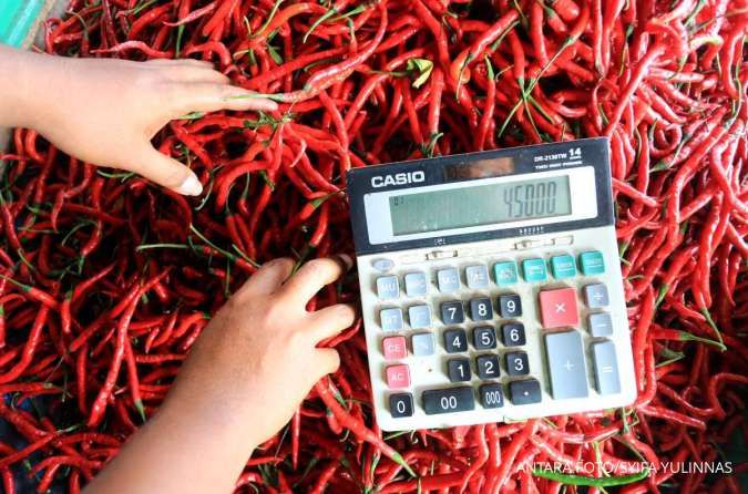 Illustration: Chili price trends (Photo: Kontan Nasional)