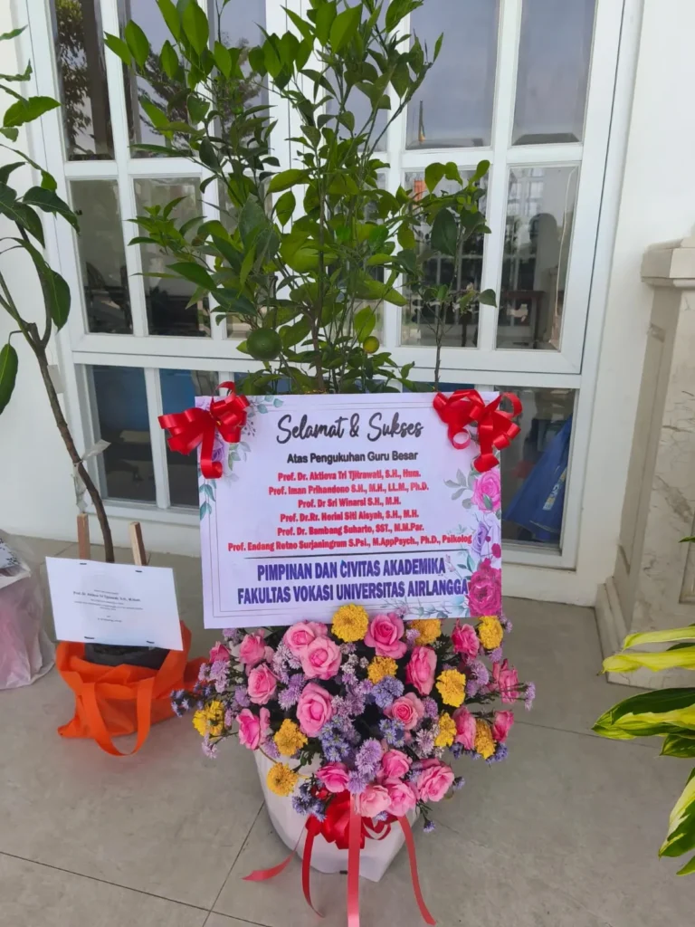 One of the tree seedling arrangements presented to UNAIR professors (Photo: By courtesy)