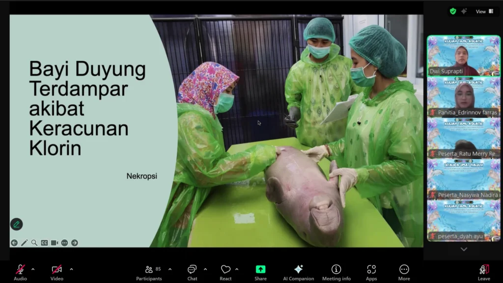 Drh Dwi Suprapti, M.Si delivers her presentation during the Aquatic Guest Lecture on Saturday (June 28, 2025) via Zoom. (Photo: Personal Documentation)
