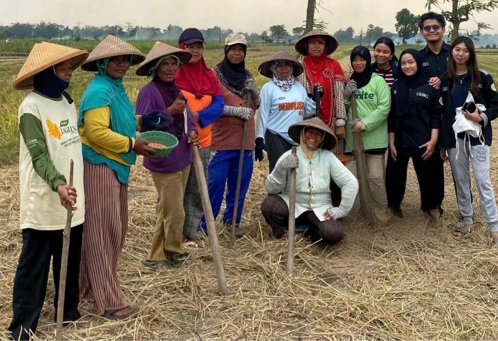 UNAIR IME students joined local farmers for a harvest session before installing a solar-powered dryer. (Photo: IME UNAIR)