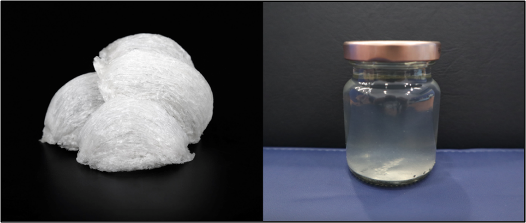 Realfood’s Hydrolysed Bird Nest (RHBN). Sumber: Amin et al. (2025)