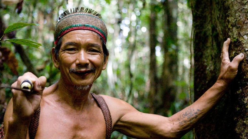 Illustration of Indigenous Peoples (Photo: WWF Indonesia)