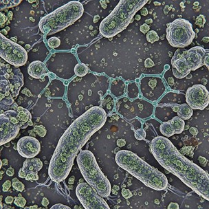 Ilustrasi bakteri dengan metabolit sekunder yang dihasilkannya saat mengurai pestisida. (sumber: unauthorized)