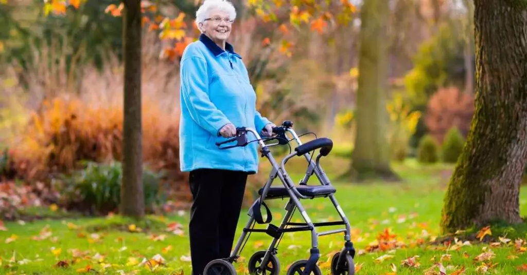 Ilustrasi Rollator/Alat Bantu Jalan Beroda (Sumber: Mobility Heaven)