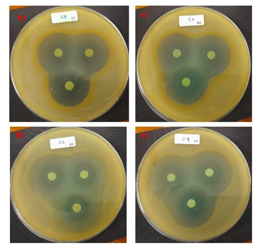 Gambar. The XRD analysis for each sample with concentration variation