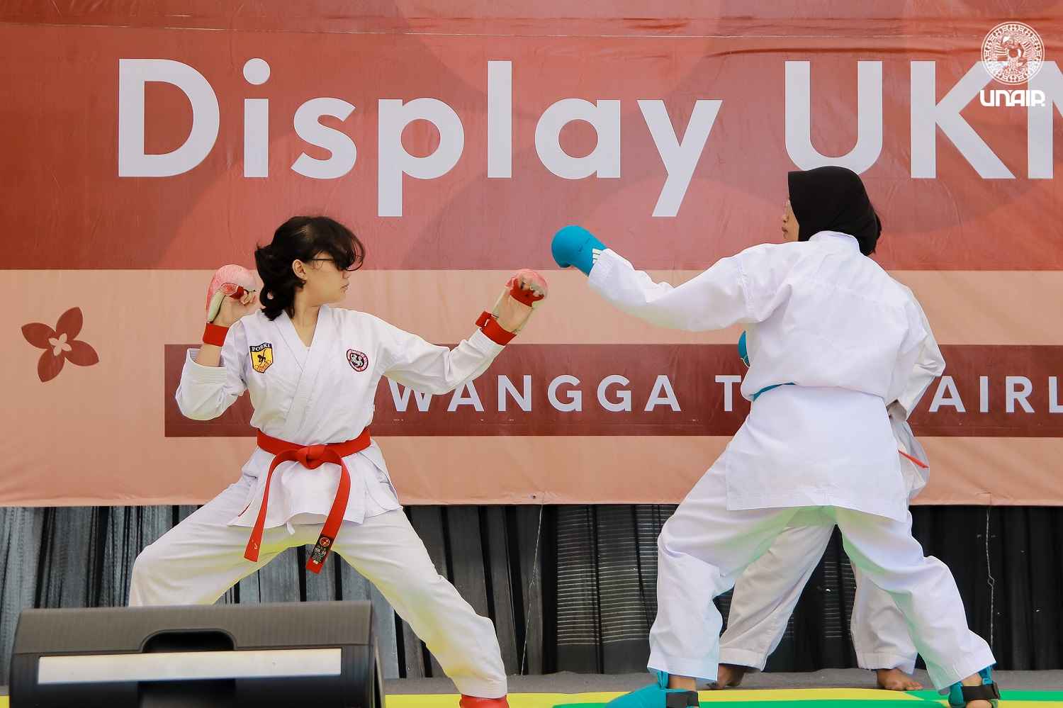 Kegiatan mahasiswa UNAIR dalam pengembangan minat dan bakat