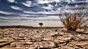 Ilustrasi Dampak El Nino. (Sumber: Liputan6.com)