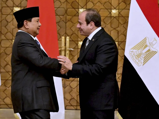 Hubungan Diplomatik antara Indonesia dengan Mesir. (Sumber: Kumparan.com)