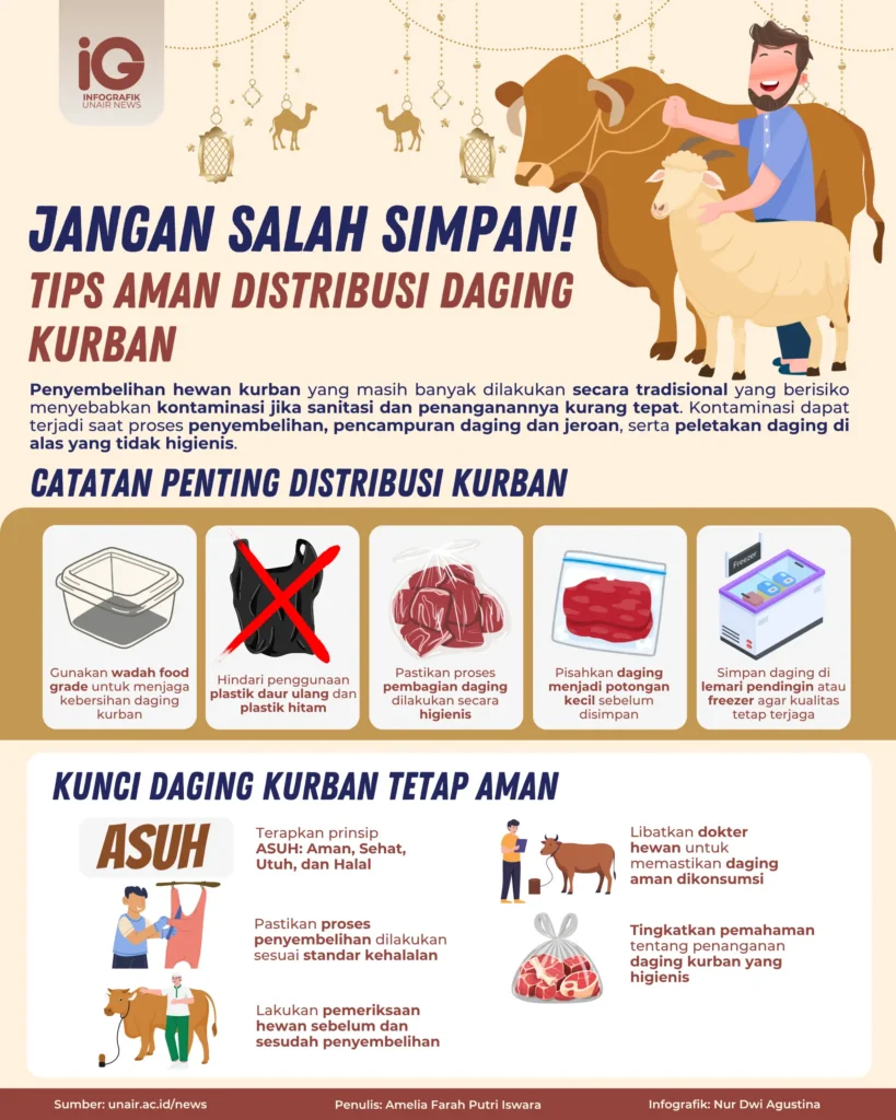 Infografik: Jangan Salah Simpan Tips Aman Distribusi Daging Kurban