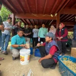 FKH UNAIR Kenalkan Wafer Pakan Komplet di Aceh Besar