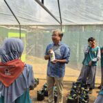 UNAIR partners with UTM to implement urban farming innovation at MTsN 2 Malang