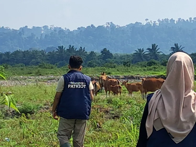 Tim Ekspedisi Patriot 13 UNAIR saat melakukan posyandu ternak keliling di Prafi, Manokwari