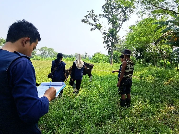 Sekelompok orang sedang berdiri di tanah lapang, terdapat beberapa hewan ternak. Satu orang di bagian belakang melakukan pencatatan., Sementara yang lain terlihat mengamati ternak sapi. Mereka adalah Tim Ekspedisi Patriot UNAIR yang sedang melakukan posyandu ternak keliling di Distrik Prafi, Manokwari