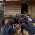 Tim Ekspedisi Patriot UNAIR bersama Masyarakat Pulohenti Panen Madu Trigona “Tahudu”